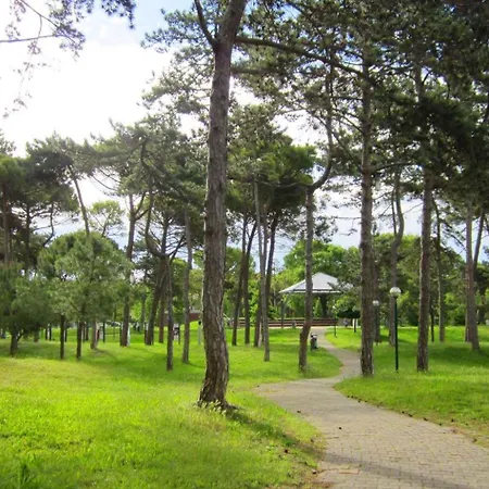 In Lignano 21632